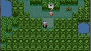 たんじょう の しま エメラルド