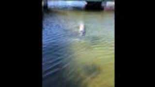 IMG 2428001002003 1549650974328 1