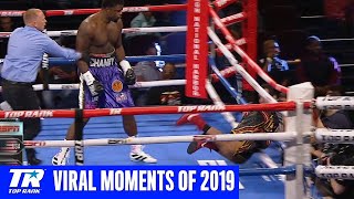 Most Viral Moments of 2019