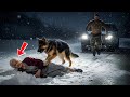He Abandoned His 72-Year-Old Mother in a Blizzard… Until a Navy SEAL’s Dog Found Her