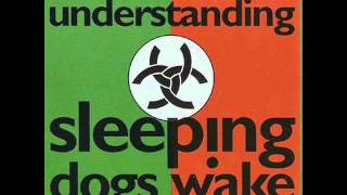Sleeping Dogs Wake - Understanding Resimi