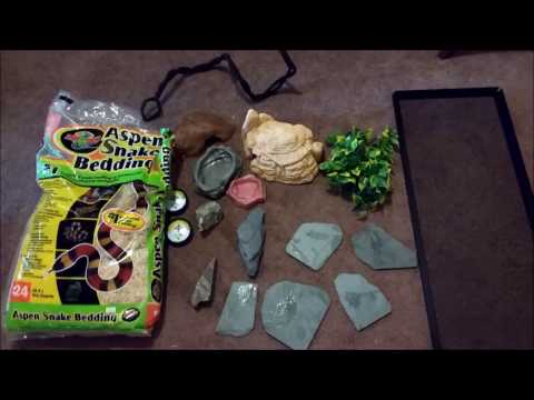 How to set up a Corn snake Vivarium