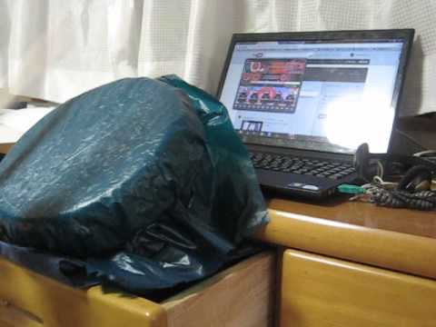 switch ON 裏譜面　練習動画