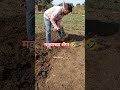शेतकरी#शेती#shetkari #farming#shorts#farmer #marathi#dialogue#yt #shortviral#vairal#video