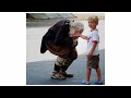 Middle of video