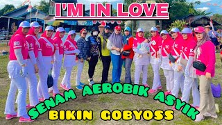 I'M IN LOVE | SENAM AEROBIC ASYIK | COCOK BUAT RAME RAME AGUSTUSAN | Irna Chendani 