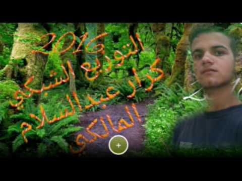 قصيده بين دمعين اداء مهدي العبودي
