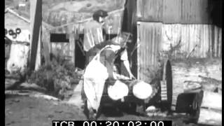 Forest Of Dean In 1945. Archive Film 93827