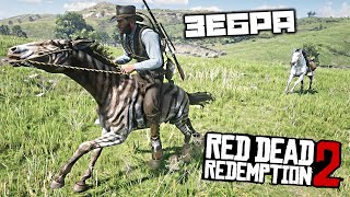 Red Dead Redemption 2 - Зебра. Найти зебру Маргарет. Набросок карты. Порванная карта сокровищ 2