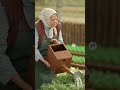 Бабушка поливает урожай в Minecraft