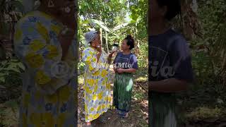 Download Lagu NYERI BEUTEUNG #komedisunda #lucu #comedy #nyaiakang MP3 Download Lagu NYERI BEUTEUNG #komedisunda #lucu #comedy #nyaiakang MP3