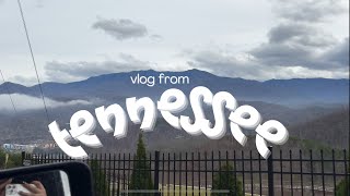 TENNESSEE | Влог из Теннесси |  Центер Чаттануги | Приключений на лыжах | Новый фен | Christmas |