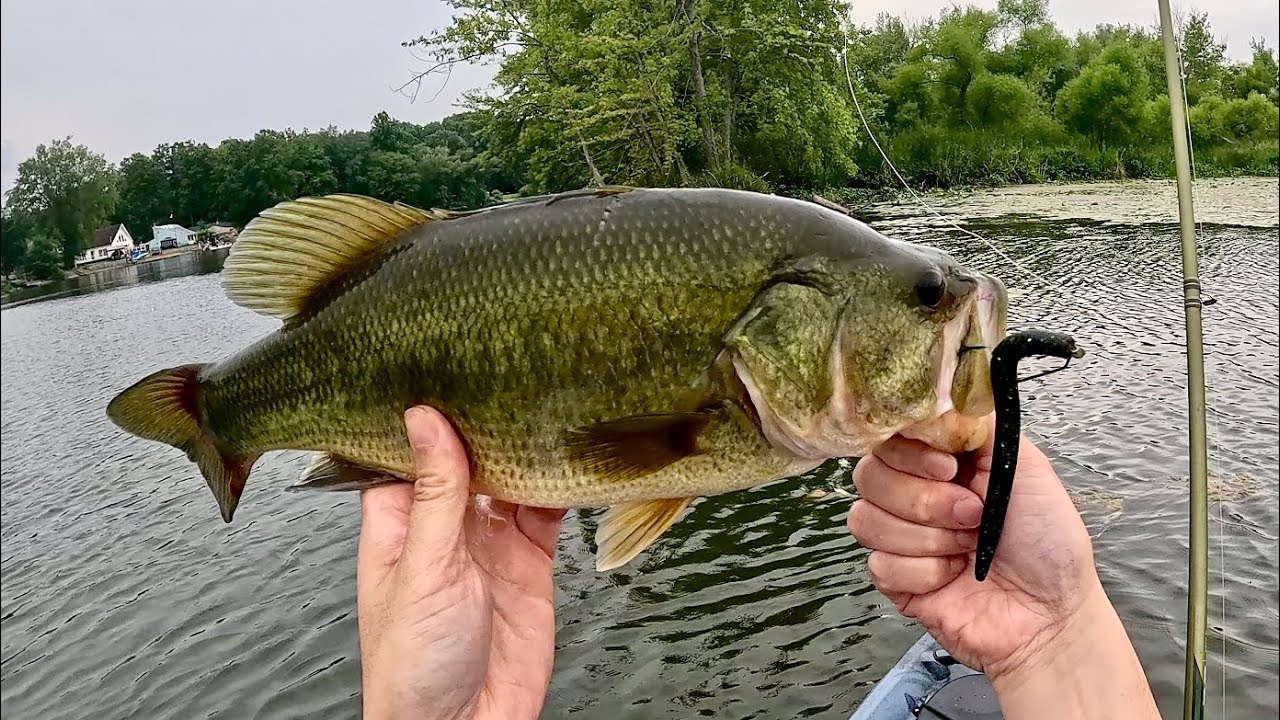 Bass Fishing With Senkos and Giant Worms (Silent Fishing E27)