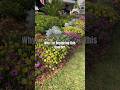 Why I’m Replacing My Spring Border | Zone 9B Florida Garden