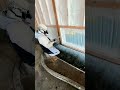 Binks ST1 Gun - Rewrite the Rules of Comfort