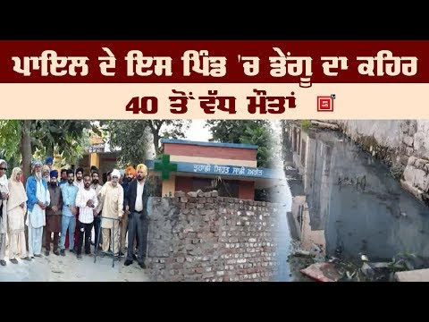 Payal ਦੇ ਇਸ Village `ਚ Dengue ਦਾ ਕਹਿਰ, 40 ਤੋਂ ਵੱਧ ਮੌਤਾਂ