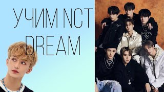 Учим NCT DREAM / Как различать мемберов Nct dream/нст дрим 🐾