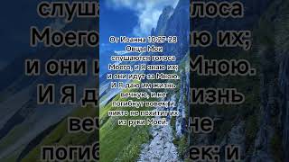 забота Господа о Своих. Гарантия спасения #библия #иисус #любовь