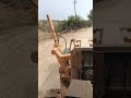 किसान पथ खजौली से किसान पथ इंदिरा डैम तक आउटर रिंग रोड SP 🚧🚧