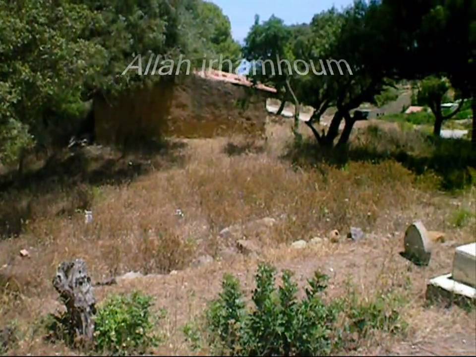 Douar del Rabet , Daira de Gouraya , w.Tipaza  , juillet 2009