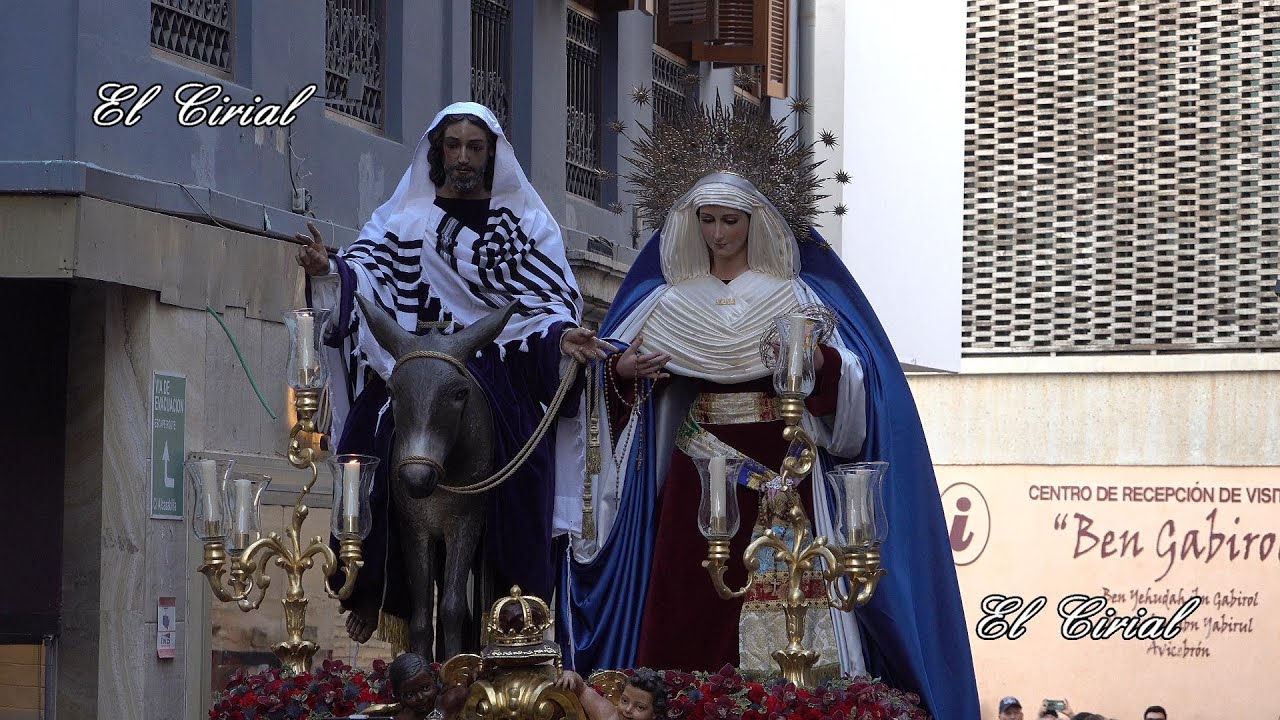 TRASLADO DE POLLINICA MALAGA 2025 CALLE GRANADA 4K