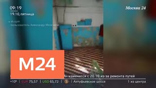 В Волгограде пациент снял на видео ужас городской больницы - Москва 24 В Волгограде пациент снял на видео ужас городской больницы - Москва 24