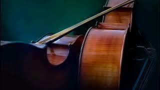 Sarabande - Joel Cummins || Relaxing classical music