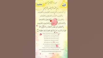 سورة الأحزاب آية ٣٥