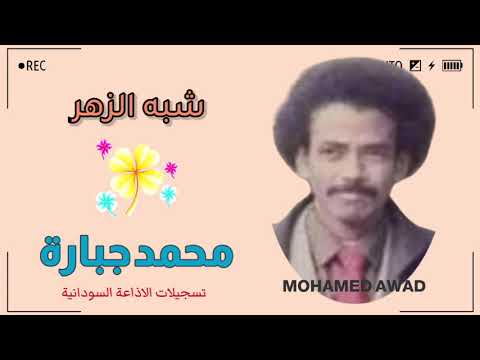 محمد جبارة شبه الزهر