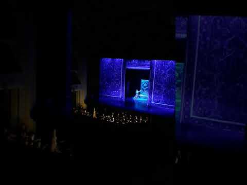 tbilisis opera  თბილისის ოპერა