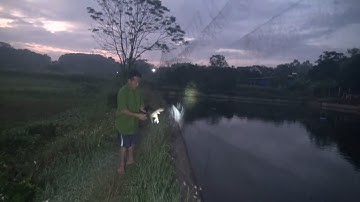 Lưới 8 phân sợi 20 đánh trích, sâm cầm? Anh em tham khảo