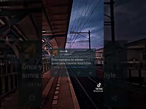 Tiktok Twitter akımı