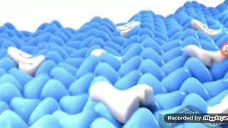 King Best Animation Logos In G Major 15 Reversed