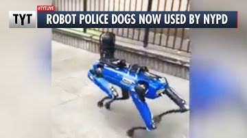 NYPD Unveils Dystopian Robot Dog