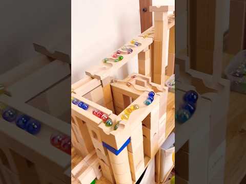 Marble Run ASMR 🐯🐷🦁🐒