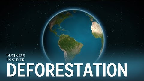 Study reveals the Earth is on track to run out of trees in 300 years