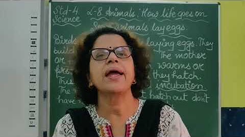 IV Science Chapter 8 Animals  How life goes on Part 4