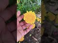 #viralvideo #fashiontrends #reels #trendingshorts #worldsnature #trending #naturesworld #viralvideo