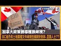 【精華】加拿大政策誘導種族歧視?  BC省仍有土地業權文件歧視性條款針對非、亞裔人士??｜加拿大楓情｜陳若虛Pius、Jackie Lee、宋浩暉