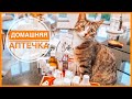 💊🧪 23. ДОМАШНЯЯ АПТЕЧКА | 30-ти дневный марафон расхламления