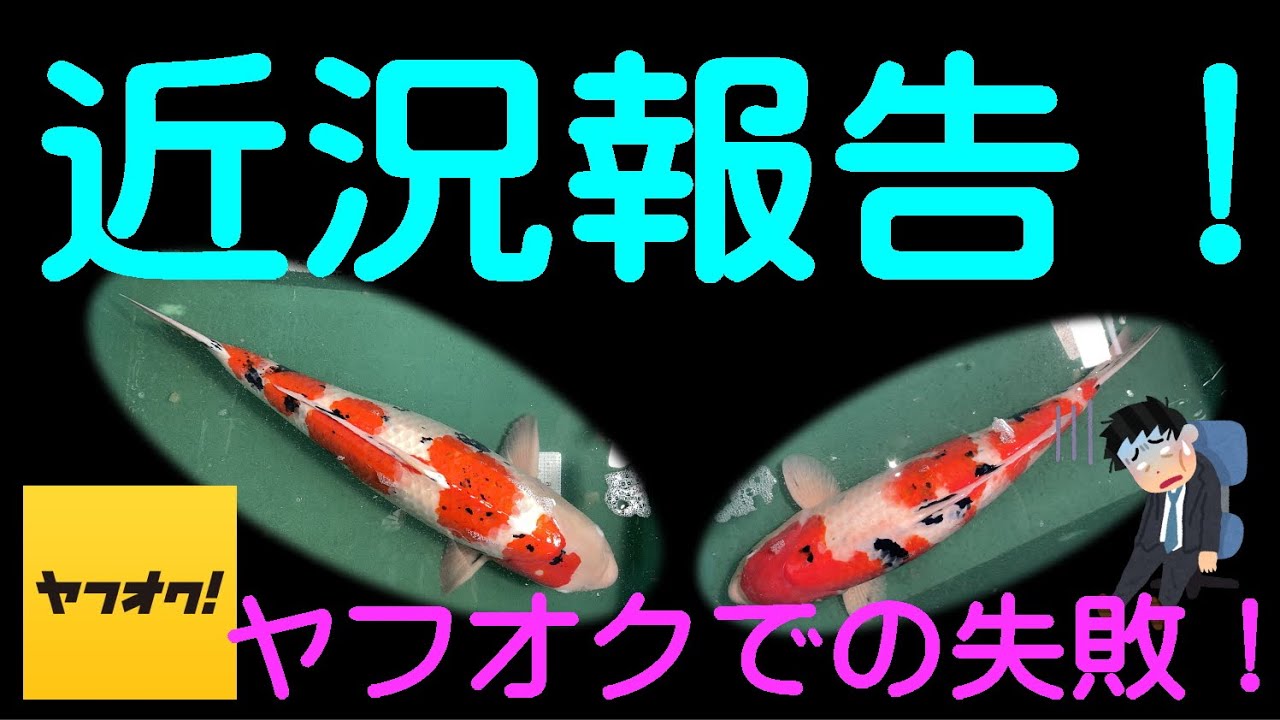 近況報告！（ヤフオクでの失敗） - YouTube