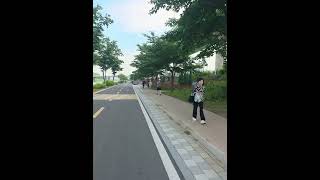 요즘 자출 하면서 보는 안양천자전거길 장미꽃길~ #라이딩 #라이딩영상 #자출 #장미꽃