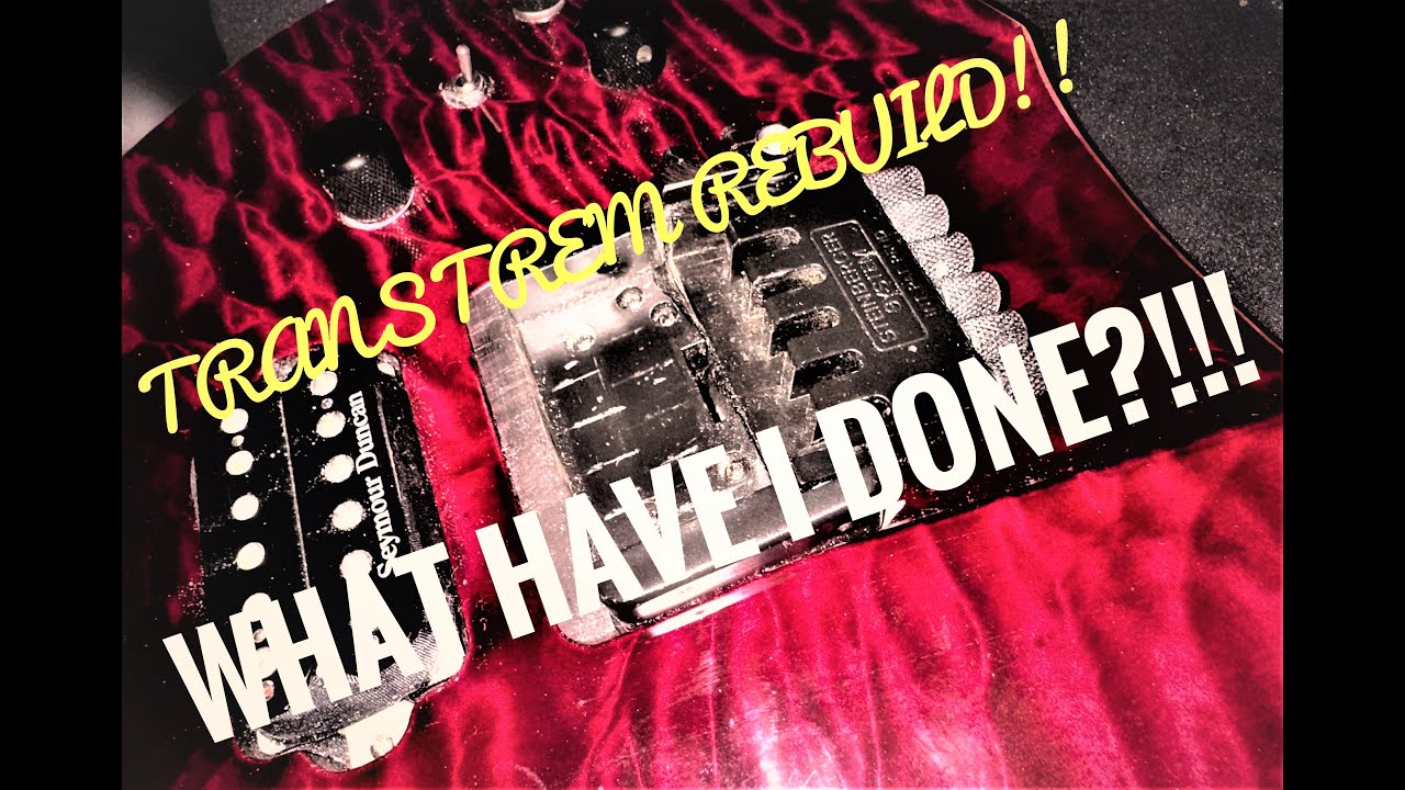 Steinberger TransTrem Rebuild EP. 1 What have I done!!!?