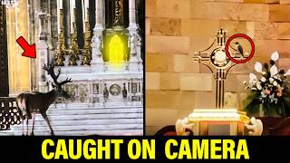 Eucharistic Miracles That Left Scientists Speechless