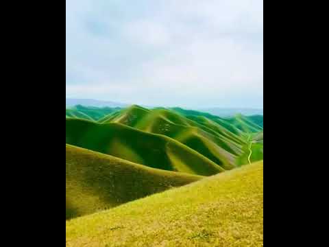 فاریاب ولسوالی دولت آباد بهار ام سال