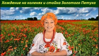 Хождение на коленях как влияет на организм № 1517 Хождение на коленях как влияет на организм № 1517