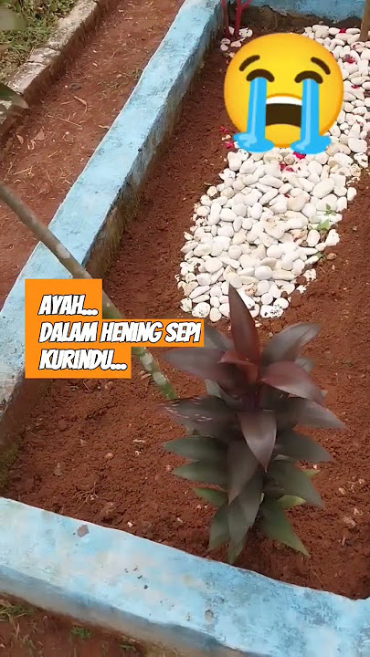 Titip Rindu Buat Ayah - Ebiet G Ade.#storywa #titiprindubuatayahcover.