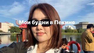 Мои будни в Пекине| Eм улиток | Китаец почистил мне обувь | Китайский рынок