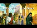 Luke 21 NIV Audio Bible With Text 