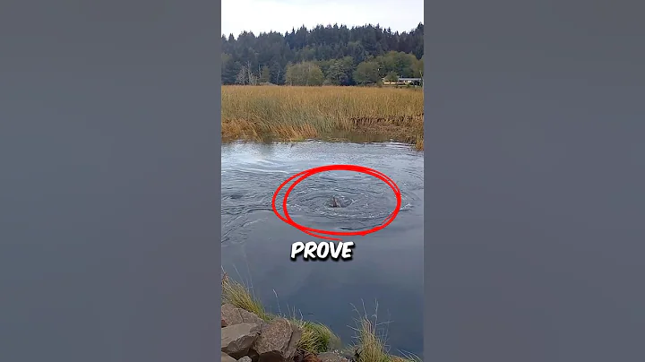 Man Proves Shocking Whirlpool Connection with Daring Experiment ✨